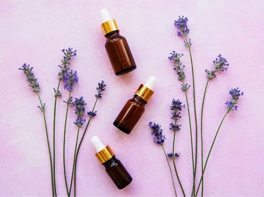 Photo of essential oils and lavender flowers