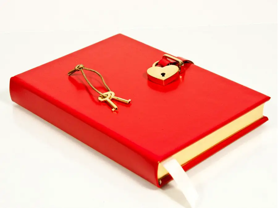 Picture of a journal with a lock