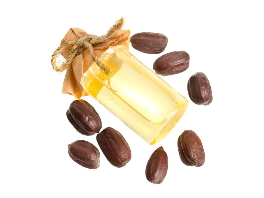 Photo of a jojoba oil bottle and jojoba fruits