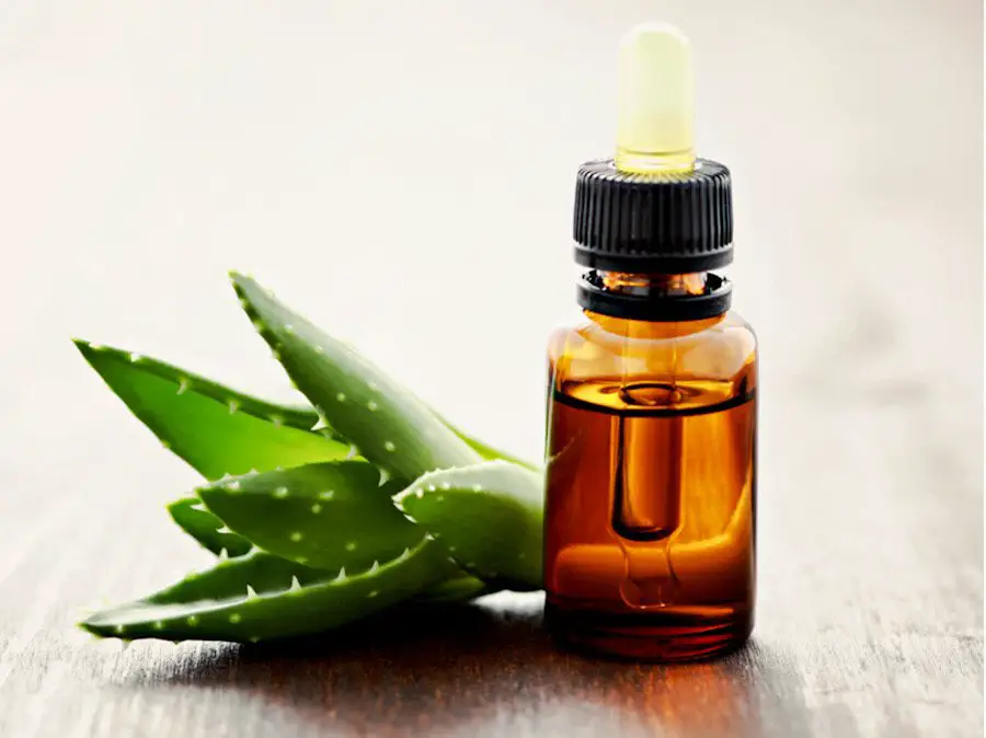 Bottle of massage oil with aloe